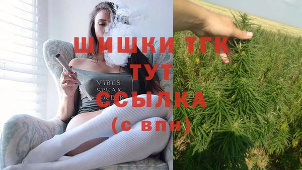 шишки Осинники