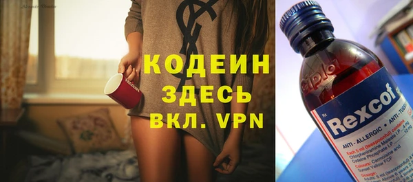 шишки Осинники