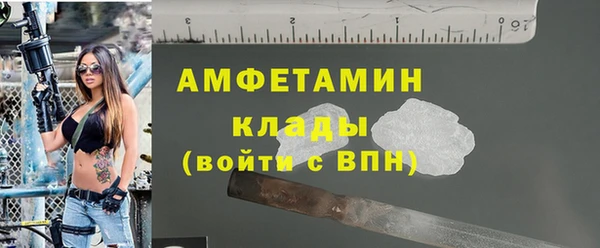 шишки Осинники