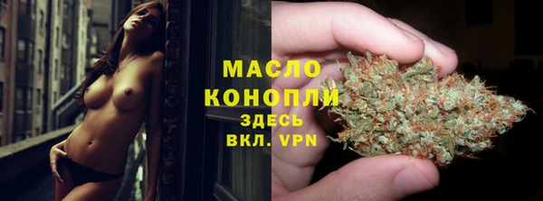 шишки Осинники