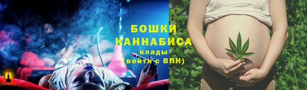 шишки Осинники