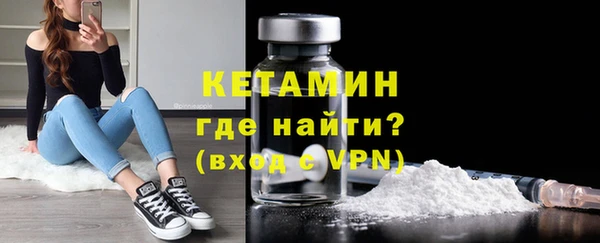шишки Осинники