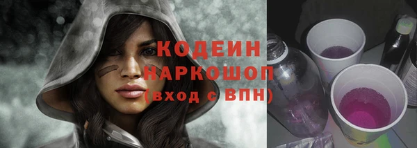 шишки Осинники
