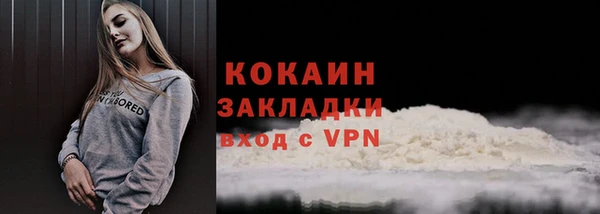 тгк Инта