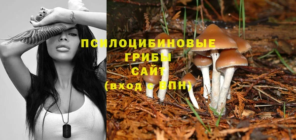 мдпв Остров