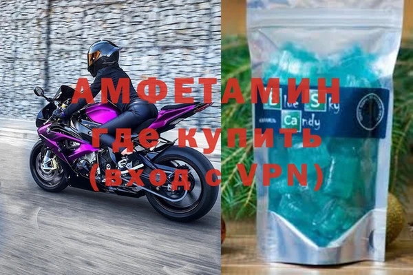шишки Осинники